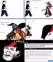849.3 KB