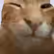 490.3 KB
