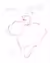 80.8 KB