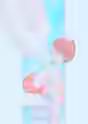 232.9 KB