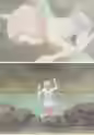 233.3 KB