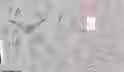 450.7 KB