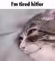 109.1 KB