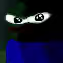 232.4 KB