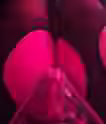 1.0 MB