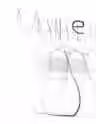 15.2 KB