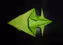 344.5 KB