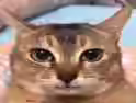 476.4 KB