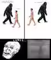 433.3 KB