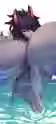 272.7 KB