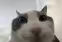 108.3 KB