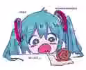 31.5 KB