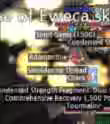 251.4 KB