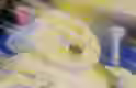 288.9 KB