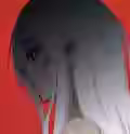 41.6 KB