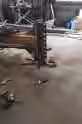 3.0 MB