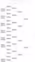 155.7 KB