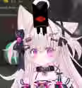 453.5 KB