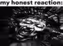 102.1 KB