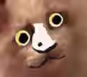 137.4 KB