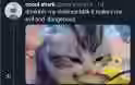 461.1 KB