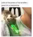 378.3 KB