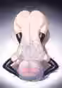 89.7 KB