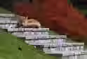125.0 KB