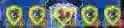 504.2 KB