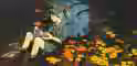 3.1 MB
