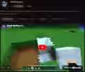 446.3 KB