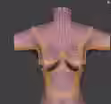 337.5 KB