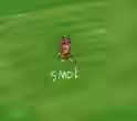 1.3 MB