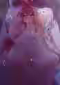 893.8 KB